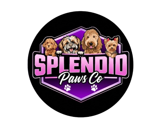 Splendid PawsCo